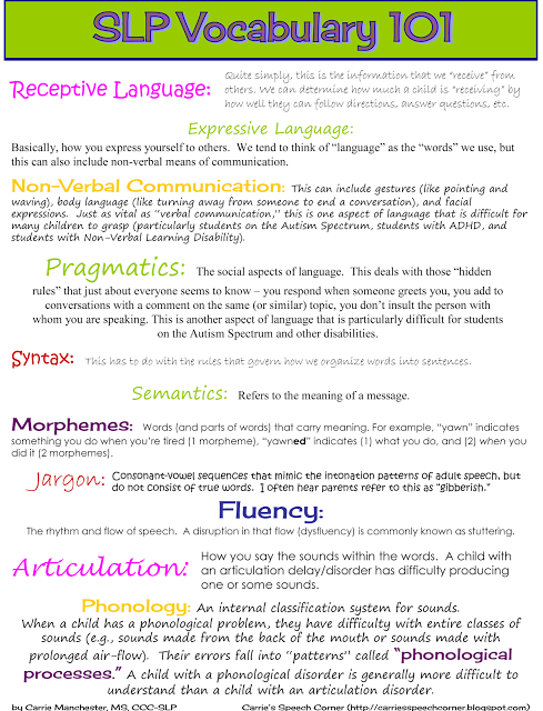 Common terms used in speech therapy 